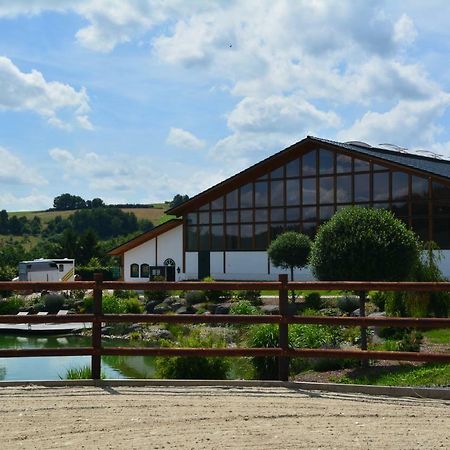 Reiterhof Und Pension Eichenhof Haiger Dış mekan fotoğraf