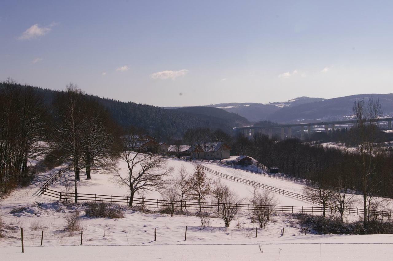 Reiterhof Und Pension Eichenhof Haiger Dış mekan fotoğraf